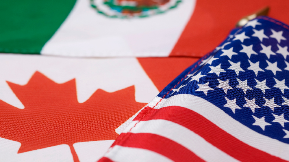 Tariffs, CUSMA and the Canadian Labour Market