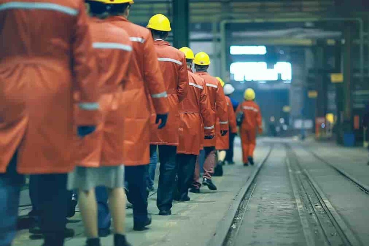 The participation paradox; deciphering January's labour force survey