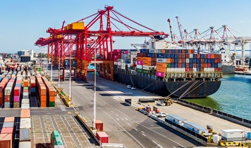Trade winds and talent gaps: navigating the November trade deficit