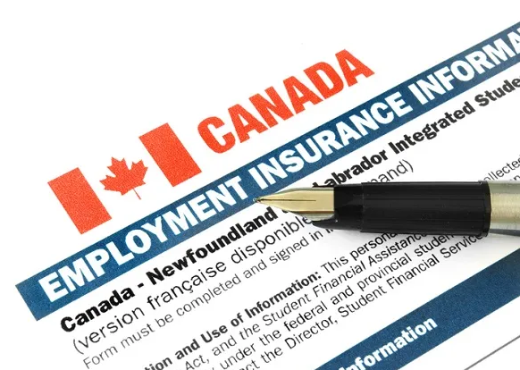 How Declining EI Beneficiaries Signal a Resilient 2026 Workforce