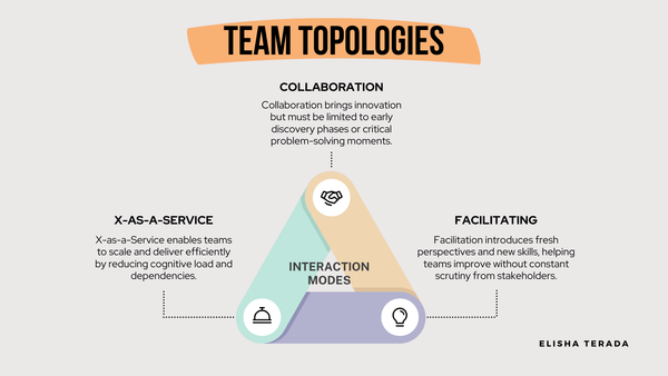 Enhancing Software Team Dynamics with Team Topologies