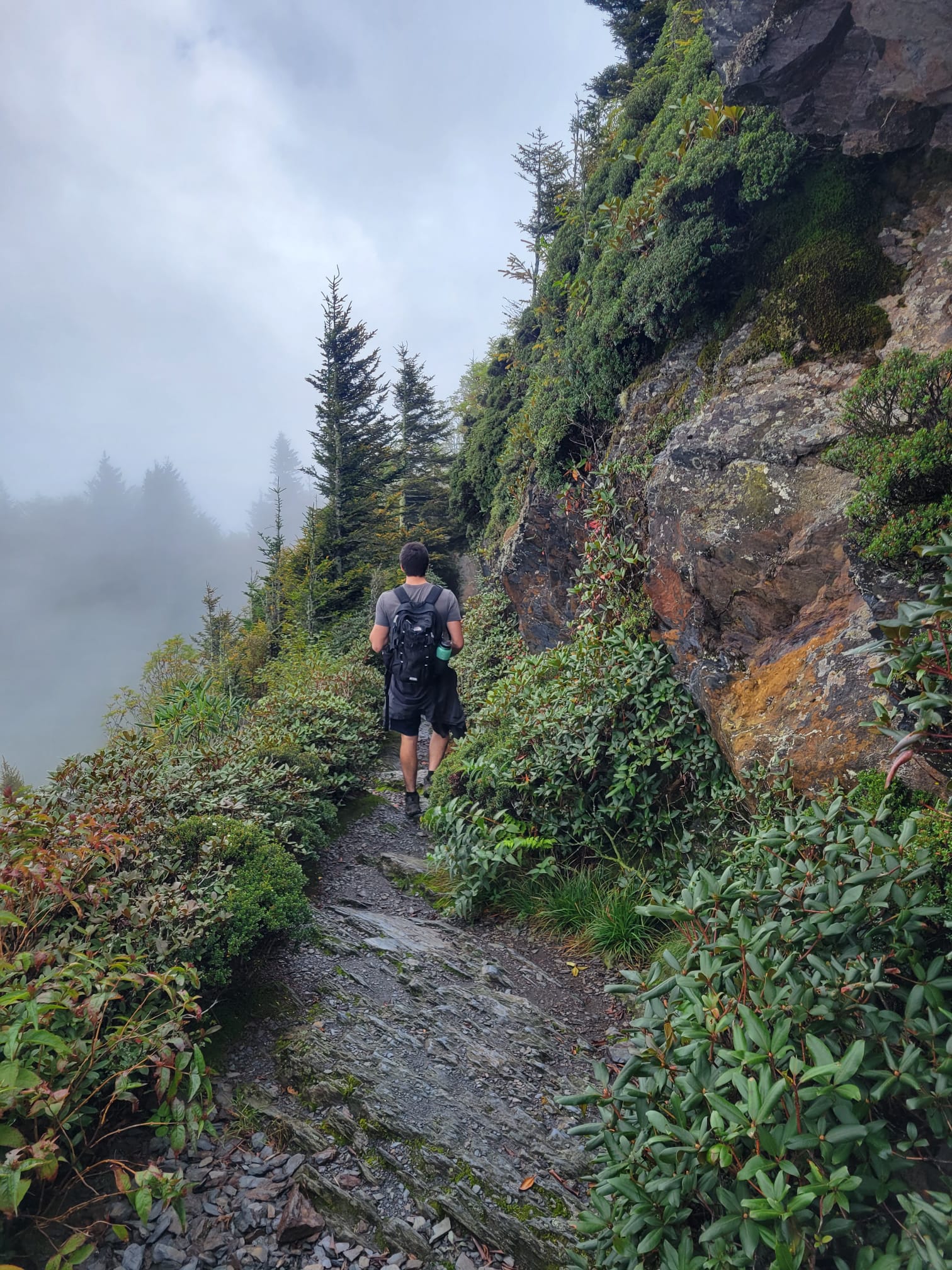 IMG-20230917-WA0002-2