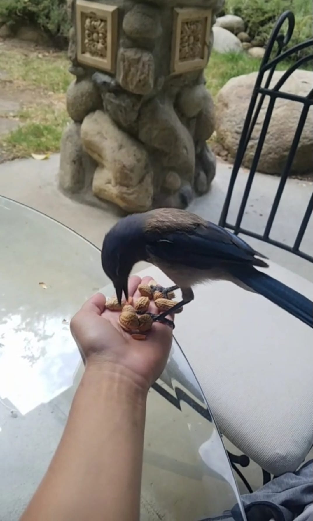 WhatsApp Image 2023-10-28 at 14.02.58_1e84637f.jpg