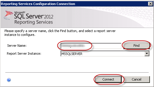 reporting_services_db
