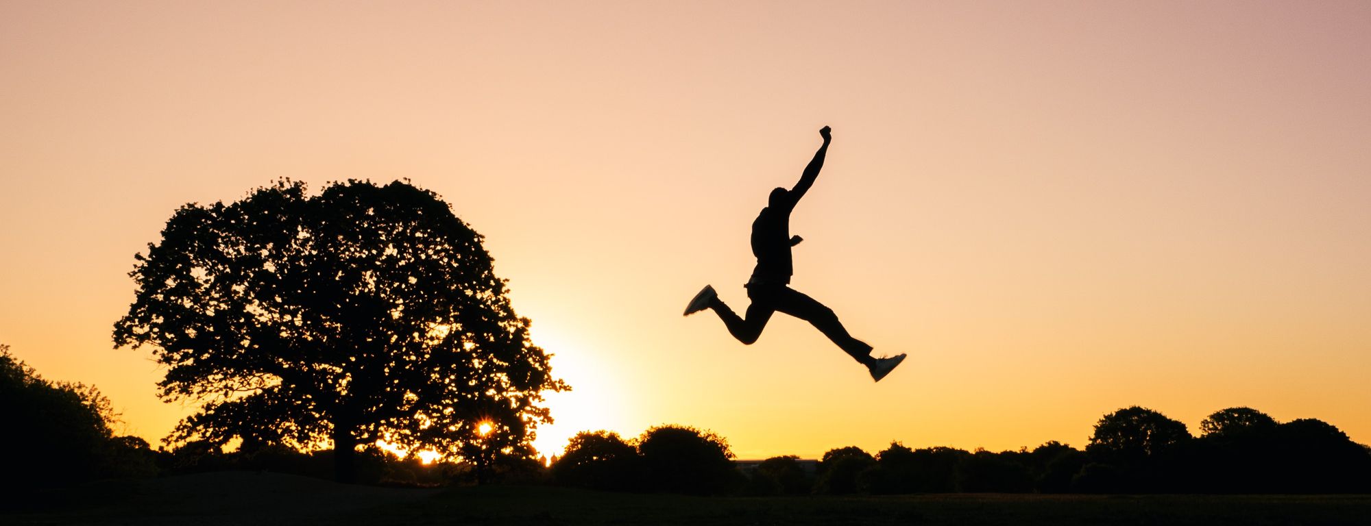 Ready to access comprehensive market data sets