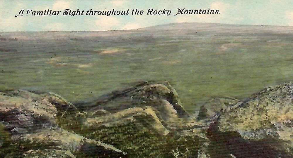 This postcard has snakes