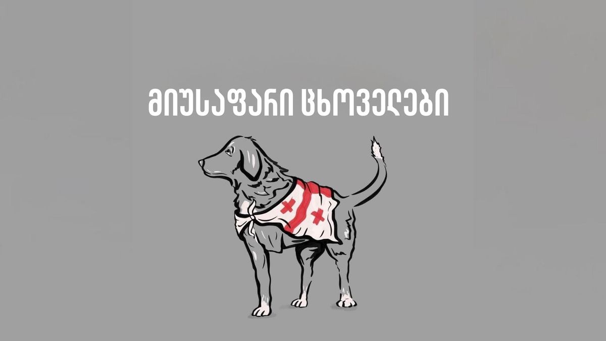 მიუსაფარი ცხოველები