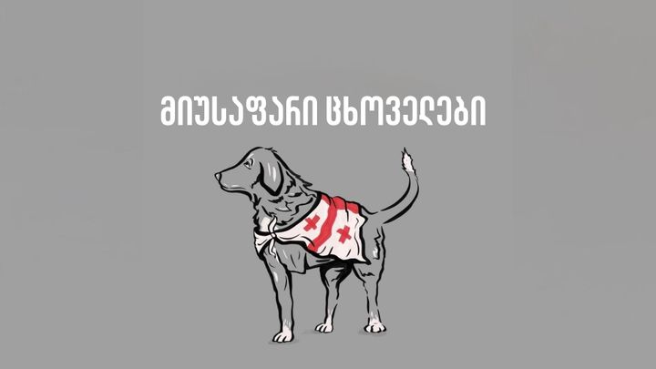 მიუსაფარი ცხოველები