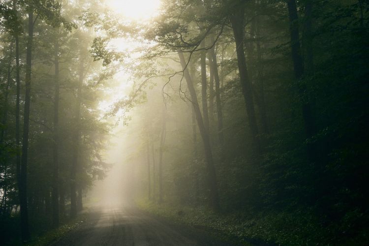 Fog in Woodstock, Vermont