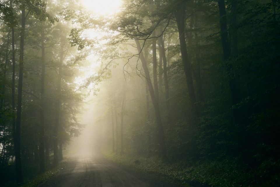 Fog in Woodstock, Vermont