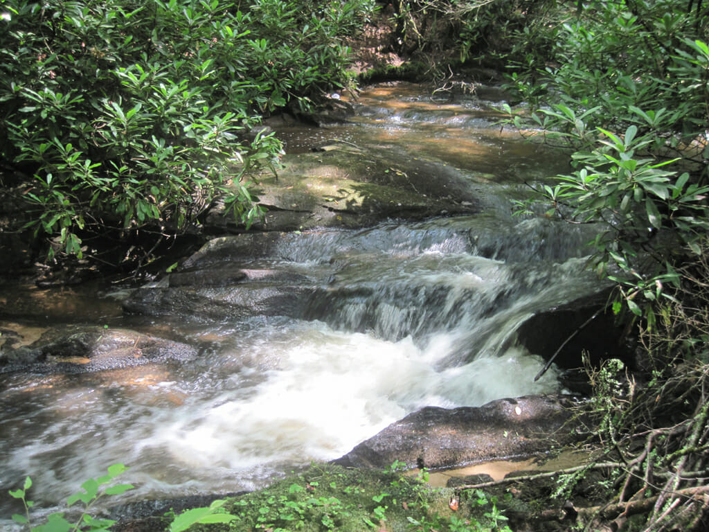 Laurel Fork AT