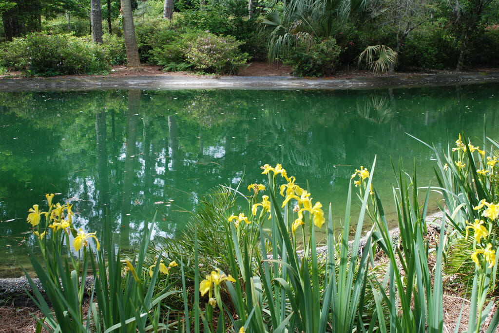 Alfred B. Maclay Gardens