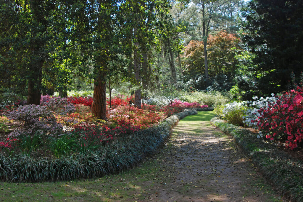 Alfred B. Maclay Gardens