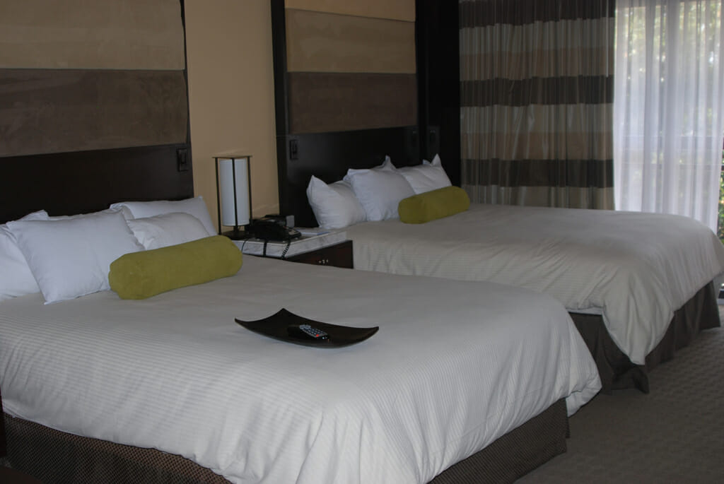 Contemporary Resort hotel room
