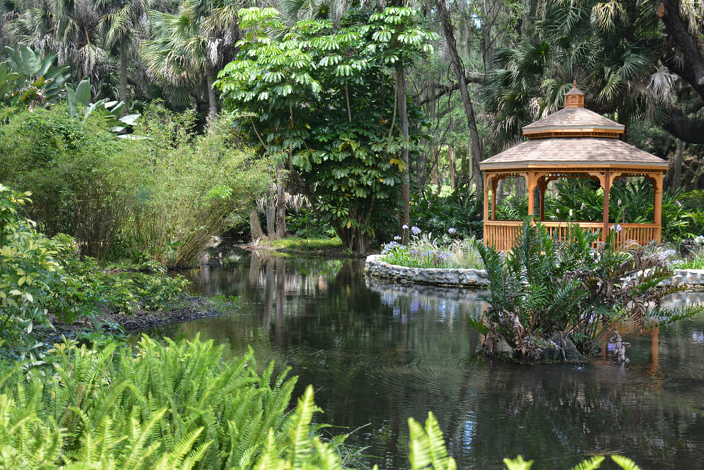 The cultivated beauty of Washington Oaks