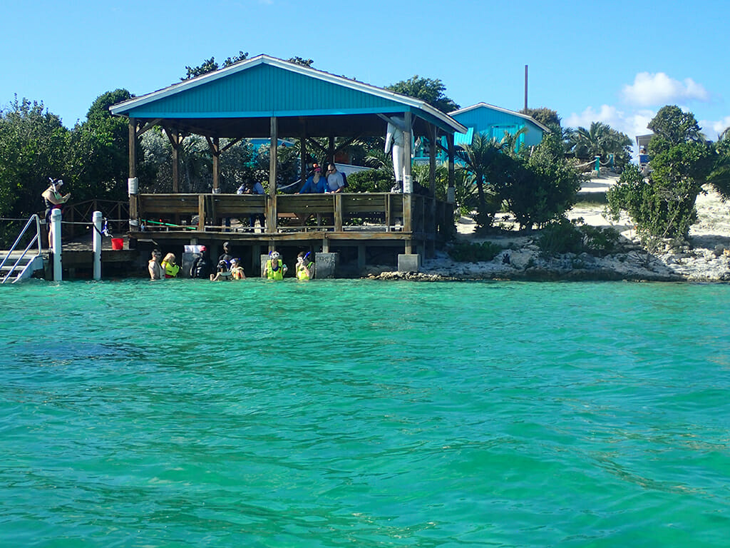 Stingray Cove Half Moon Cay