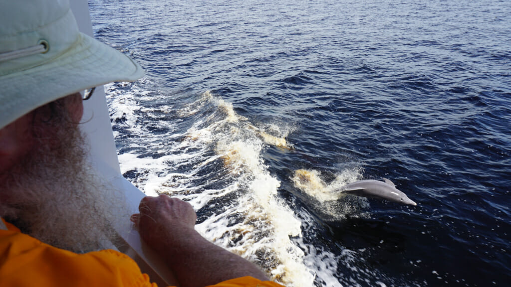John watching dolphins Punta Gorda
