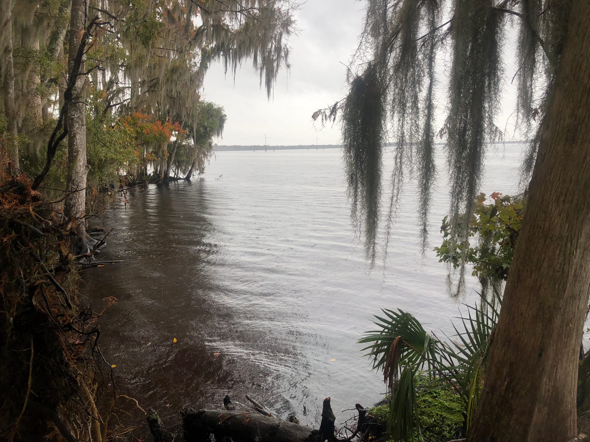 Wild waterfront on a stormy day