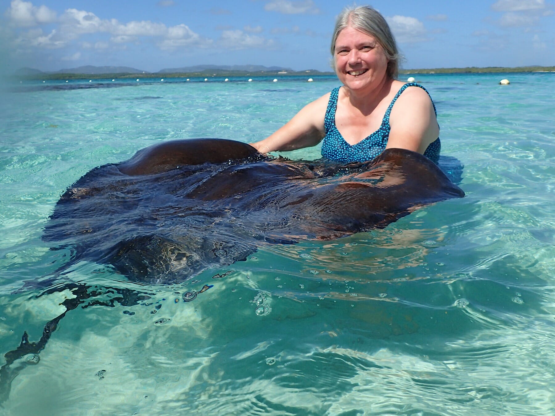 Stingray City Antigua