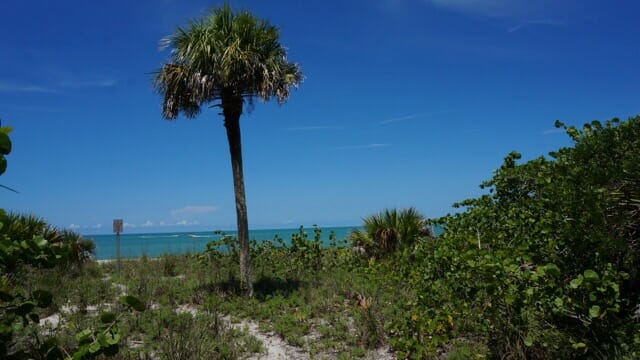 Beauty spot at Barefoot Beach