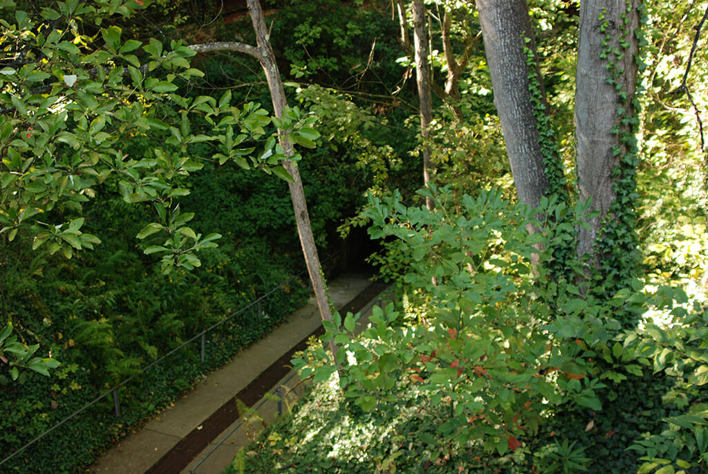 Bluespring Caverns Indiana