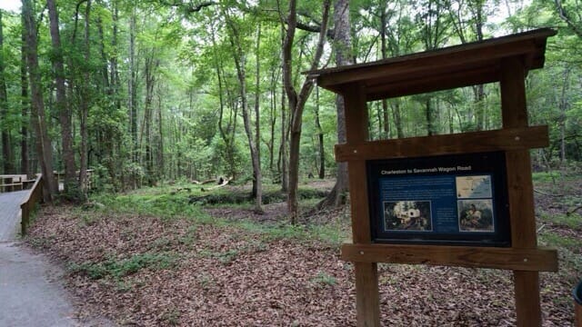 Charleston-Savannah Road