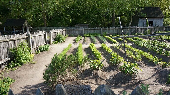 Colonial gardens at the Yorktown Victory Center