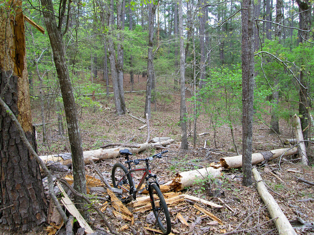 Baker Creek State Park
