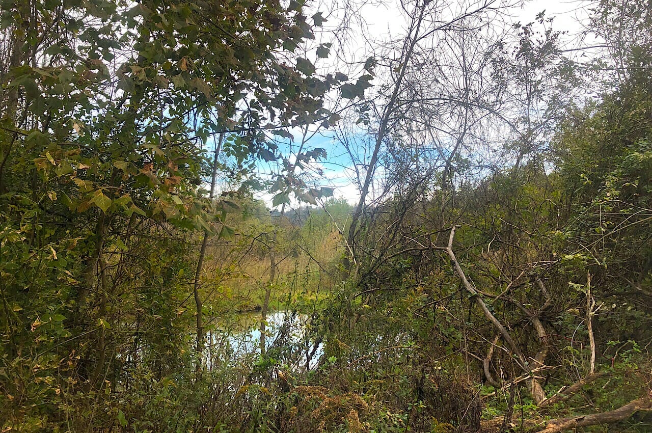 Salt ponds Saltville 