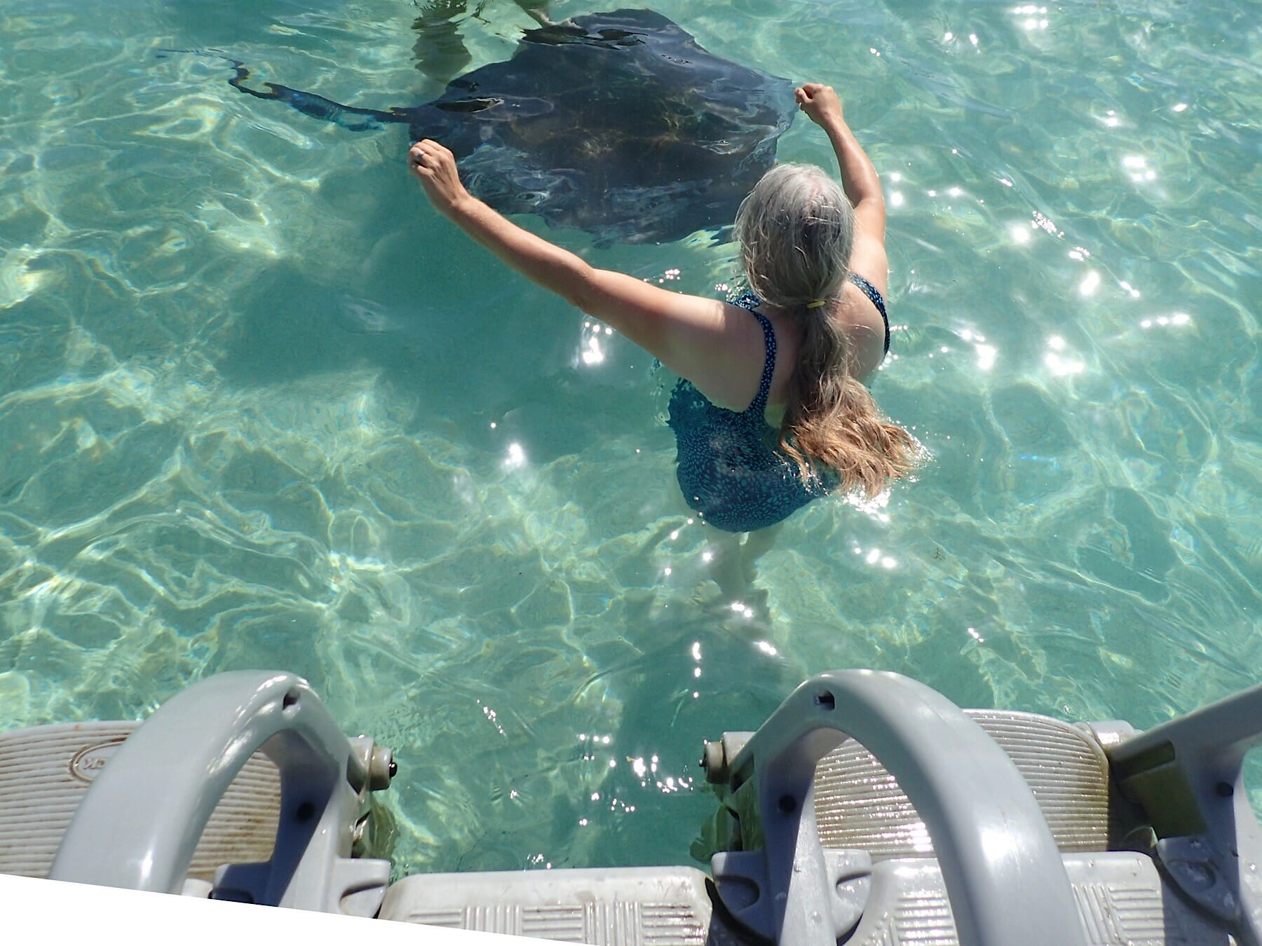 Stingray City Antigua