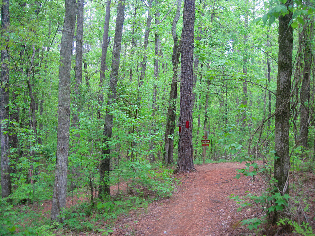 Junction with Great Wall