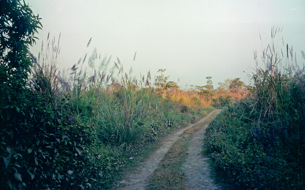 Royal Chitwan National Park 