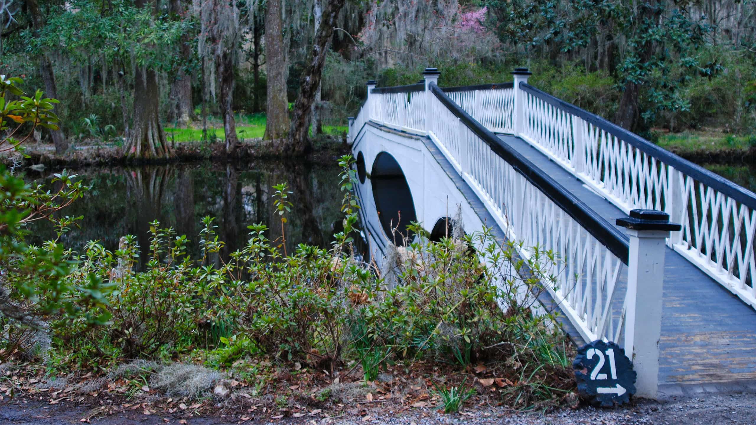 Magnolia Gardens Long Bridge