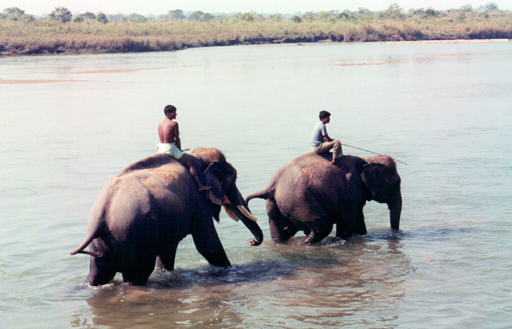 Mahouts in Nepal