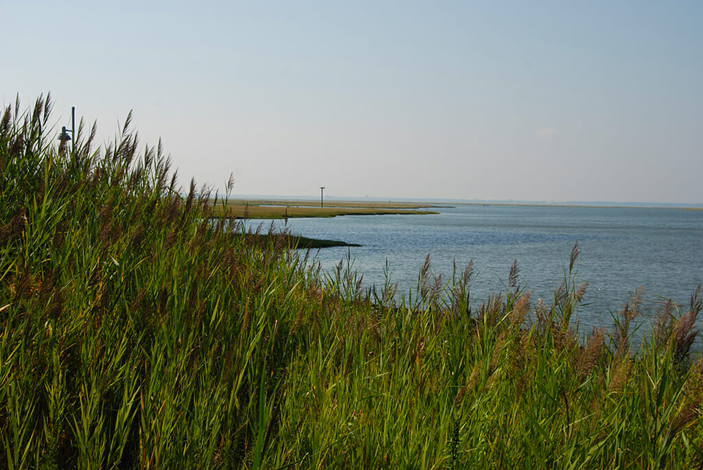 AC Waterfront Sculpture Walk.