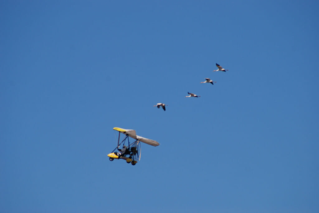 Operation Migration flyover ultralight