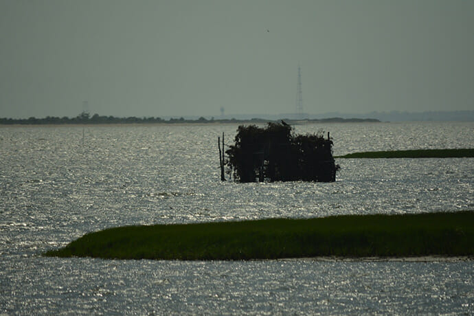 Oyster tower Wallops Island