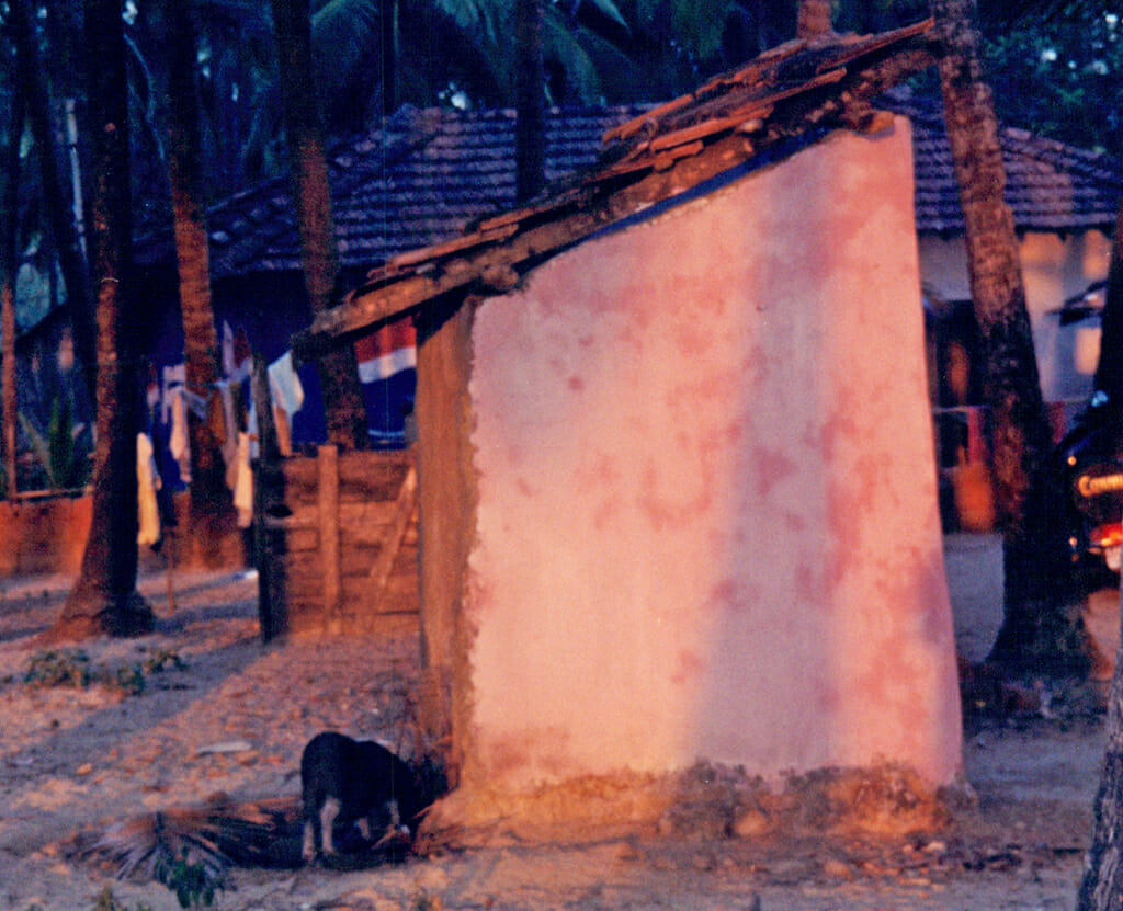 Palolem pig toilet