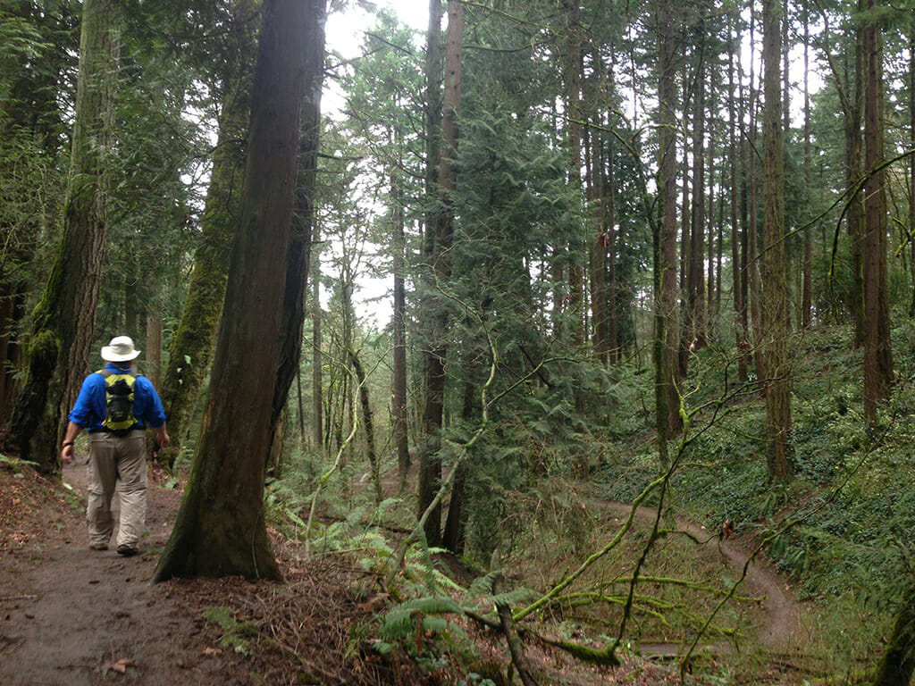 Portland 4T urban forest