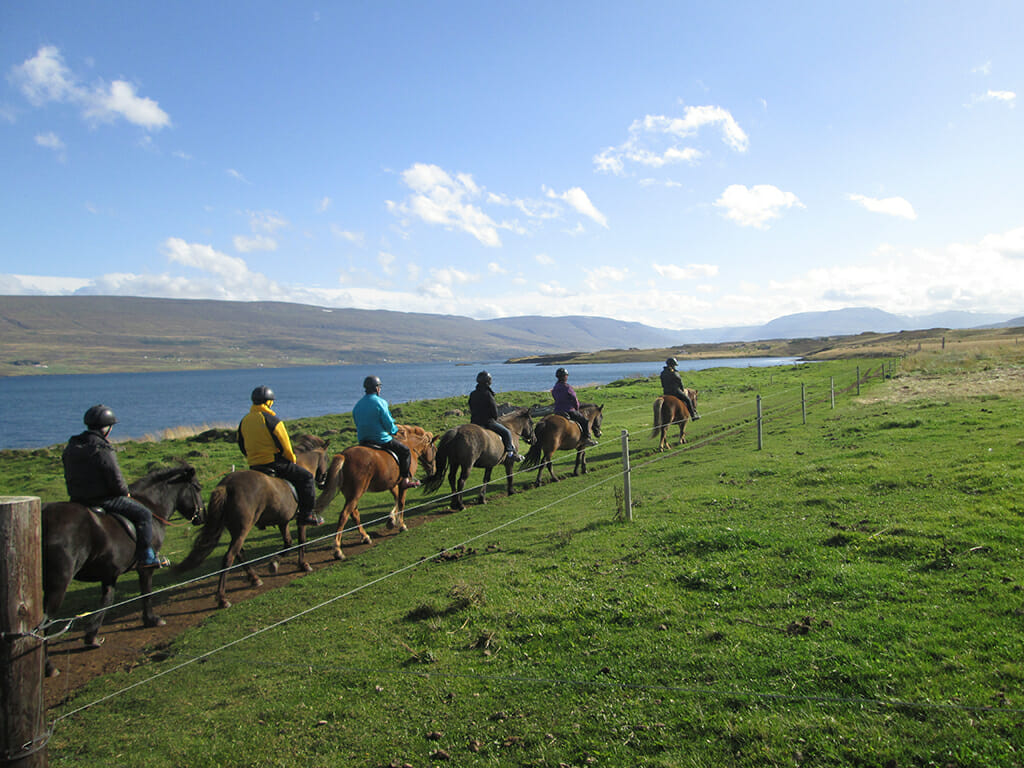 Riding along Eyjafjörður 