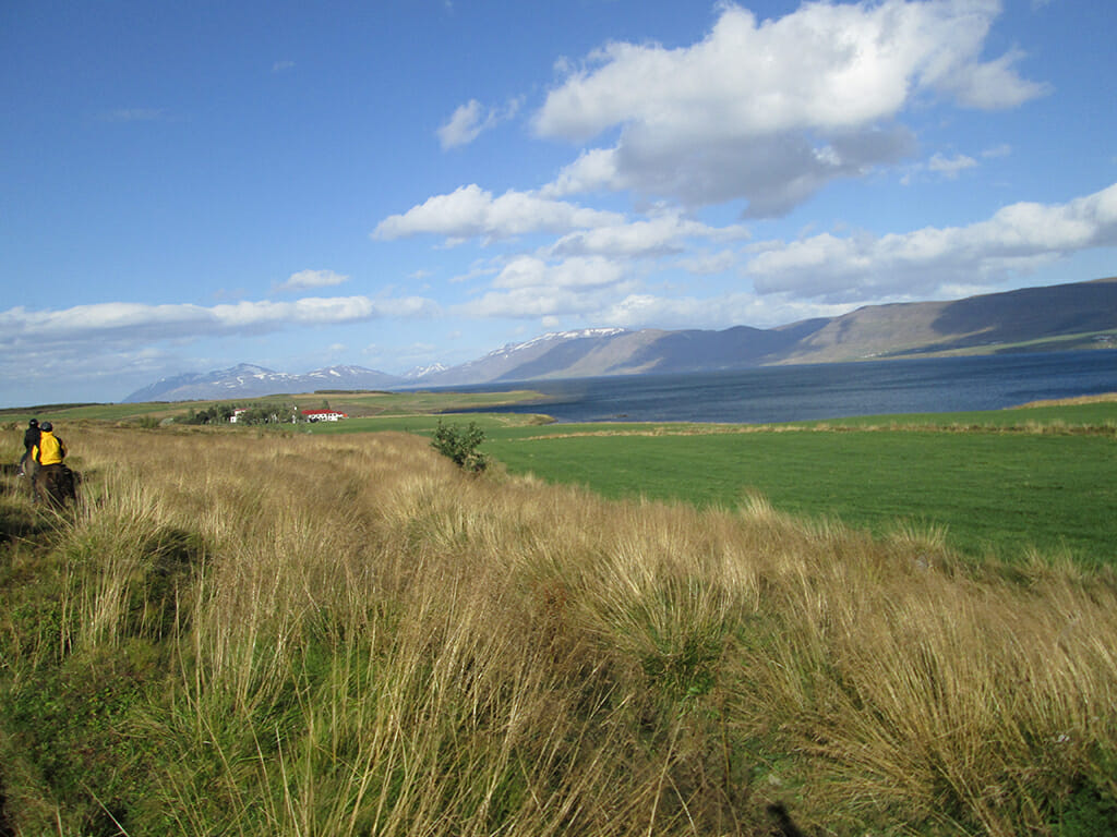 Countryside around Skjaldarvík 