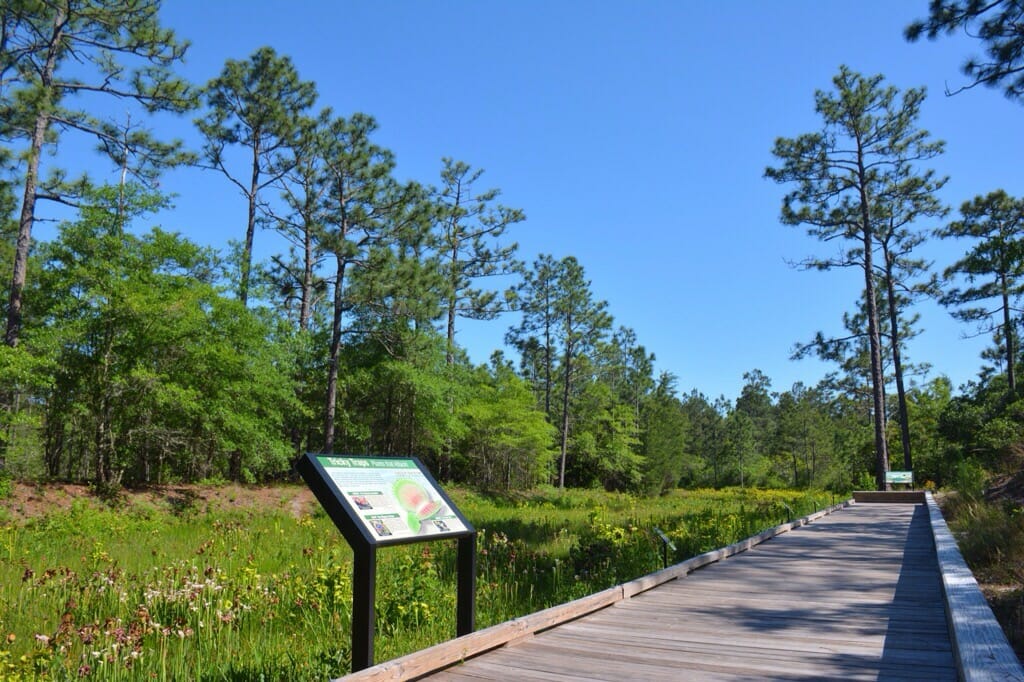 Stanley Rehder Carnivorous Plant Garden