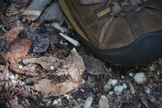 Barefoot Beach Naples