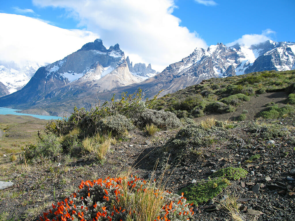 Torres del Paine