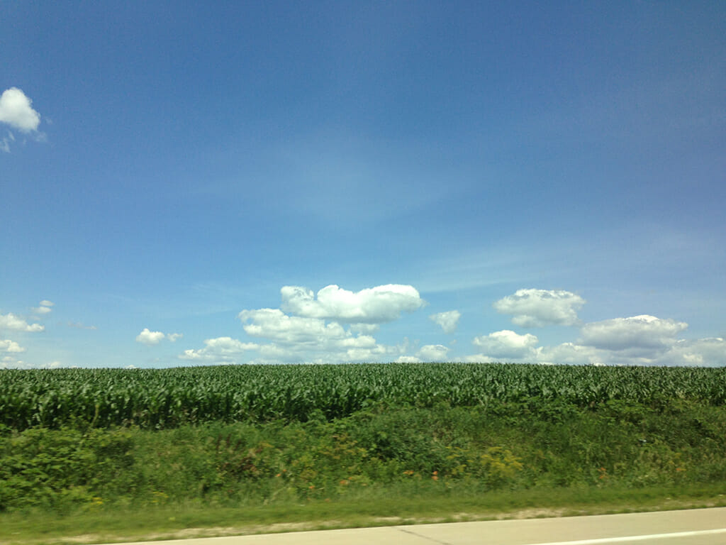 Typical Iowa view