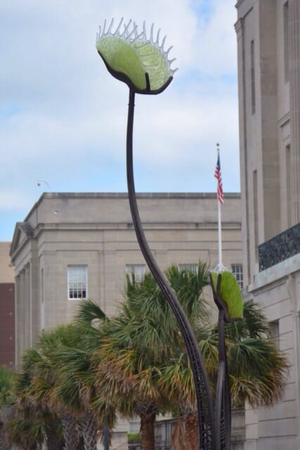 Venus flytrap scuplture at the Riverwalk