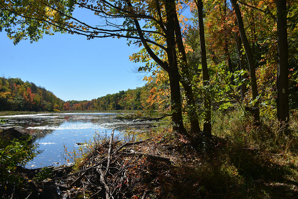 Lake along the Appalachian Trail at Waywayanda 