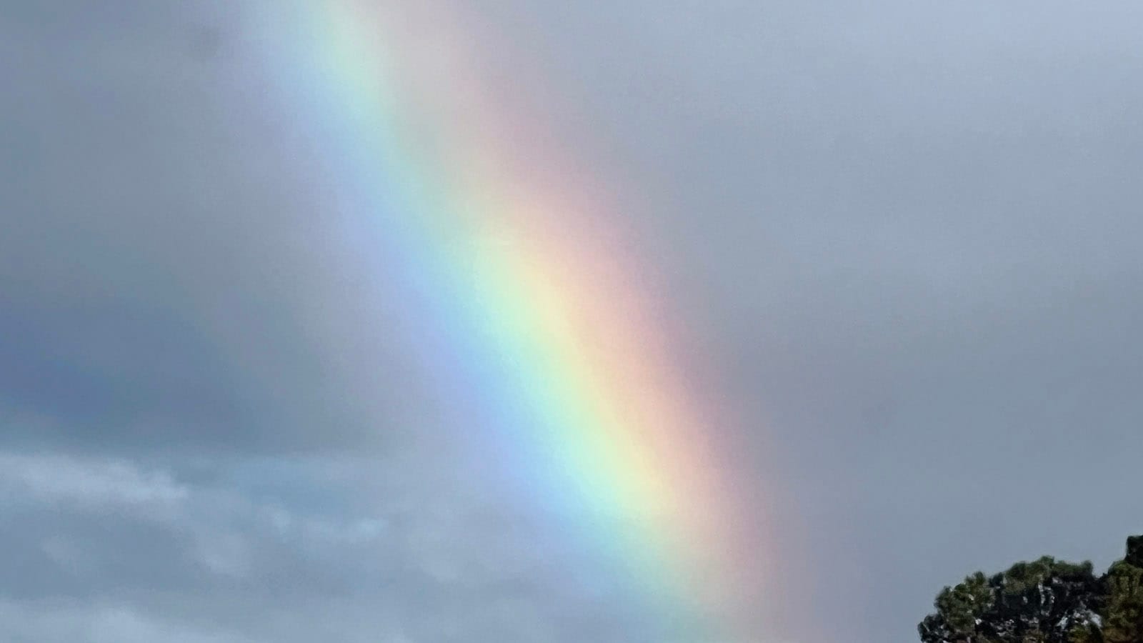 Rainbow against stormy skies with hint of a top of a pine tree in right bottom corner