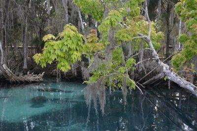 Wildlife Refuges