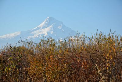 Volcanoes